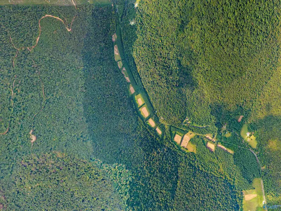 3818 -6 County Road 4 #TRACT 6, Hollytree, AL 35751 - Image #3