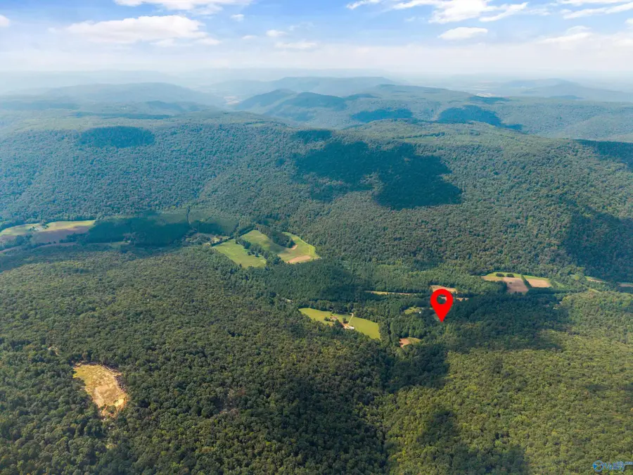 3818 -3 County Road 4 #Tract 3, Hollytree, AL 35751 - Image #2