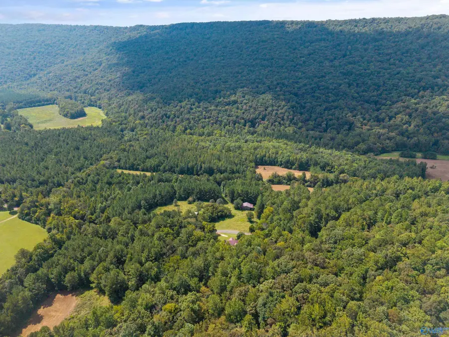 3818 -3 County Road 4 #Tract 3, Hollytree, AL 35751 - Image #3