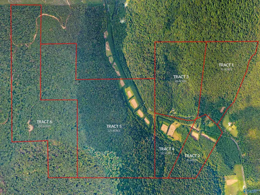 3818 -4 County Road 4 #Tract 4, Hollytree, AL 35751 - Image #2