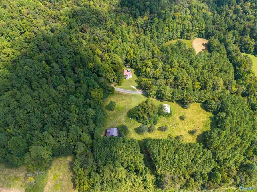 3818-1 County Road 4 #Tract 1, Hollytree, AL 35751 - Image #3