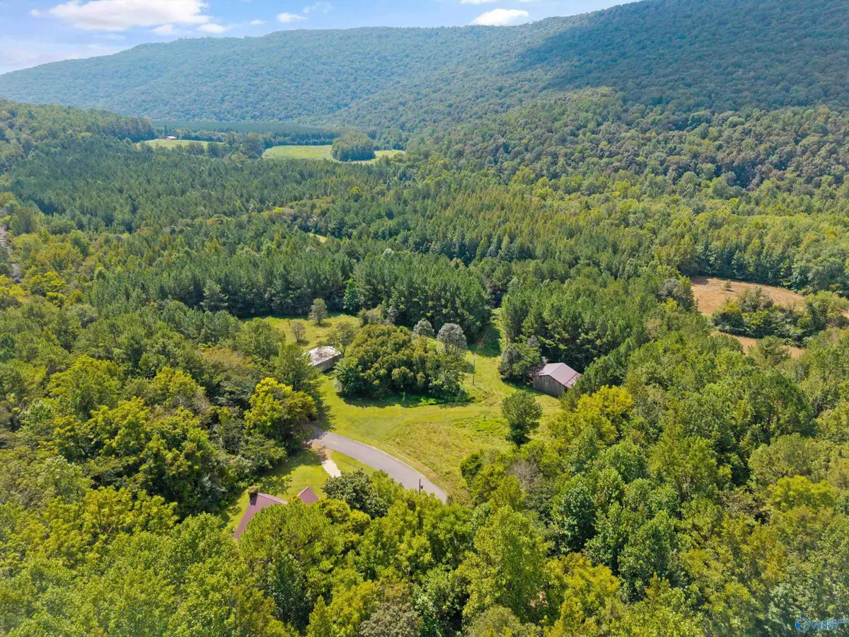 3818-2 County Road 4 #Tract 2, Hollytree, AL 35751 - Image #1