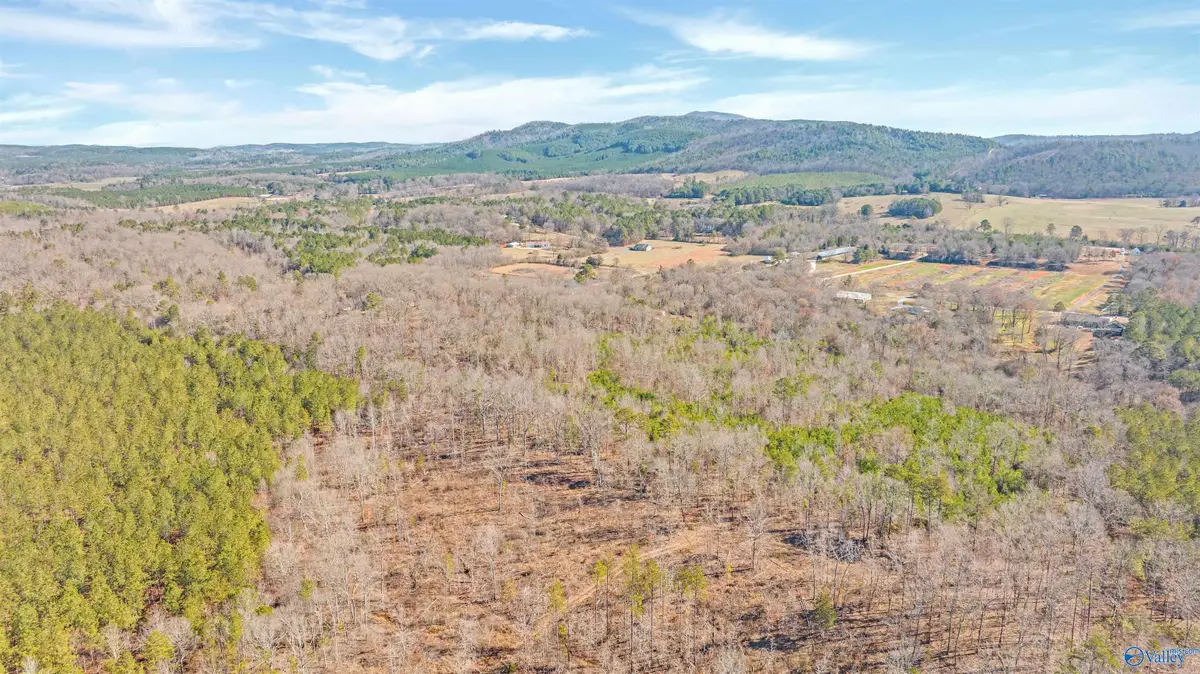 13 Acres County Road 174, Piedmont, AL 36272 - Image #1