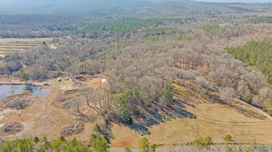 13 Acres County Road 174, Piedmont, AL 36272 - Image #2