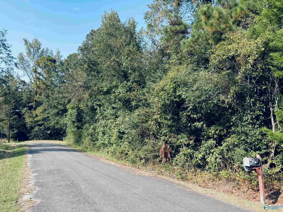 1428 Cove Creek Drive, Glencoe, AL 35905 - Image #3