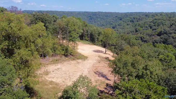 4.63 acres Lee Street, Guntersville, AL 35976