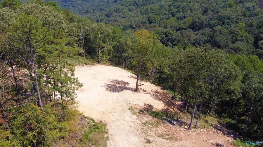 4.63 acres Lee Street, Guntersville, AL 35976 - Image #3