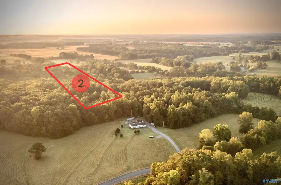 TRACT 2 County Road 503, Anderson, AL 35610 - Image #3