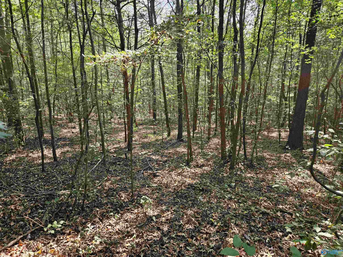 18 ac Pleasant Valley Road, Gallant, AL 35972 - Image #1
