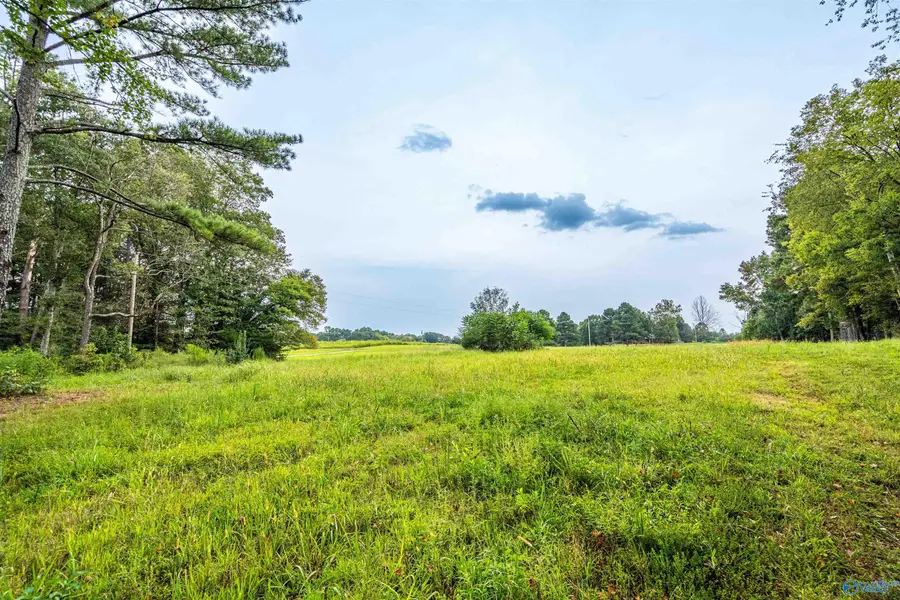 Tract 1 Highway 99, Anderson, AL 35610 - Image #2