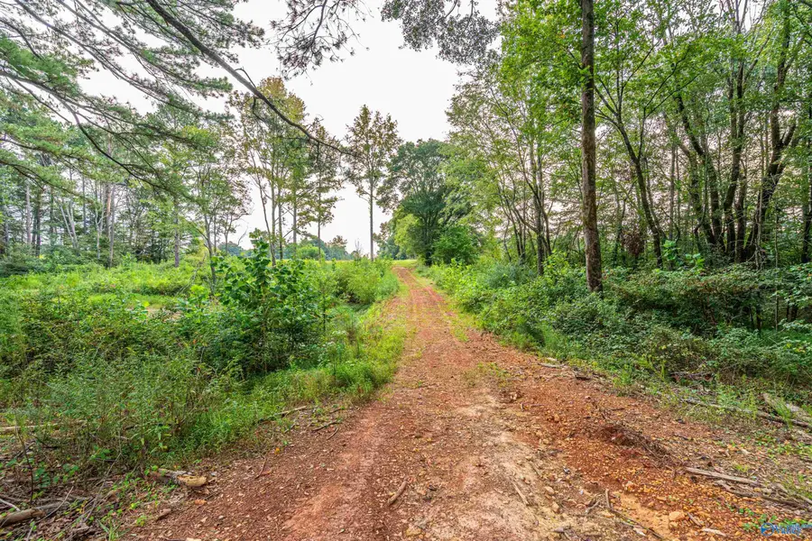 Tract 1 Highway 99, Anderson, AL 35610 - Image #3