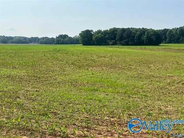 Tract 1 Old Railroad Bed Road, Harvest, AL 35749 - Image #1