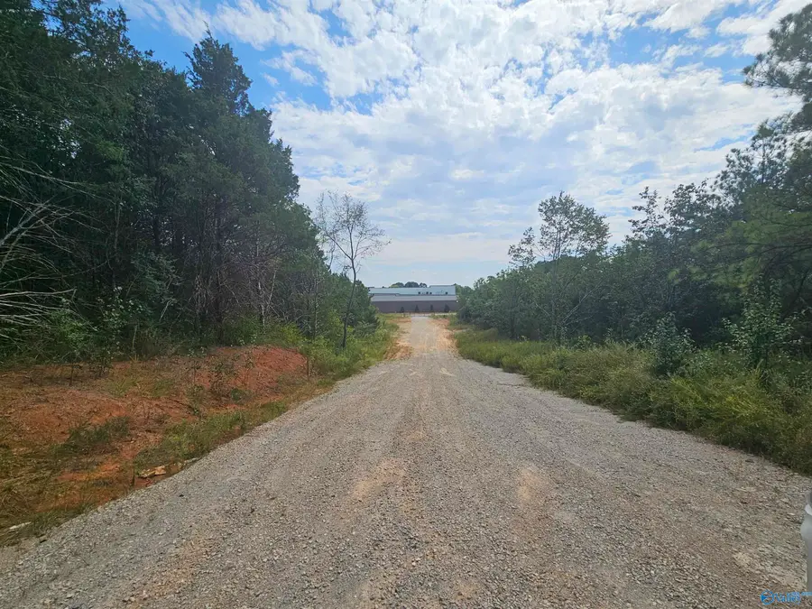 11 Acres Hughes Road, Madison, AL 35758 - Image #2
