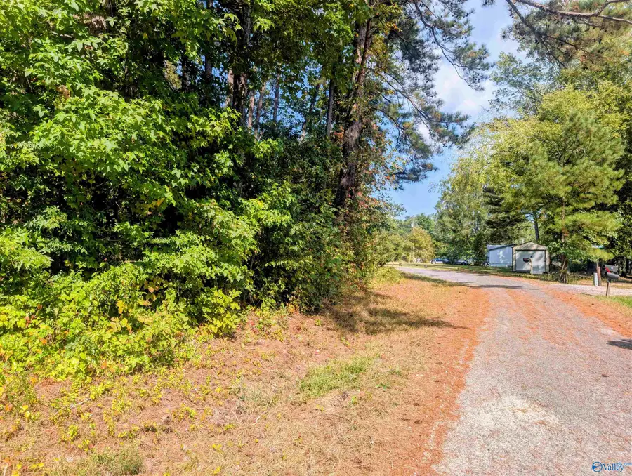 lot 1 County Road 249, Leesburg, AL 35983 - #3