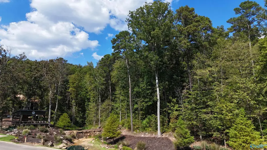 83 Boathouse Drive, Guntersville, AL 35976 - Image #3