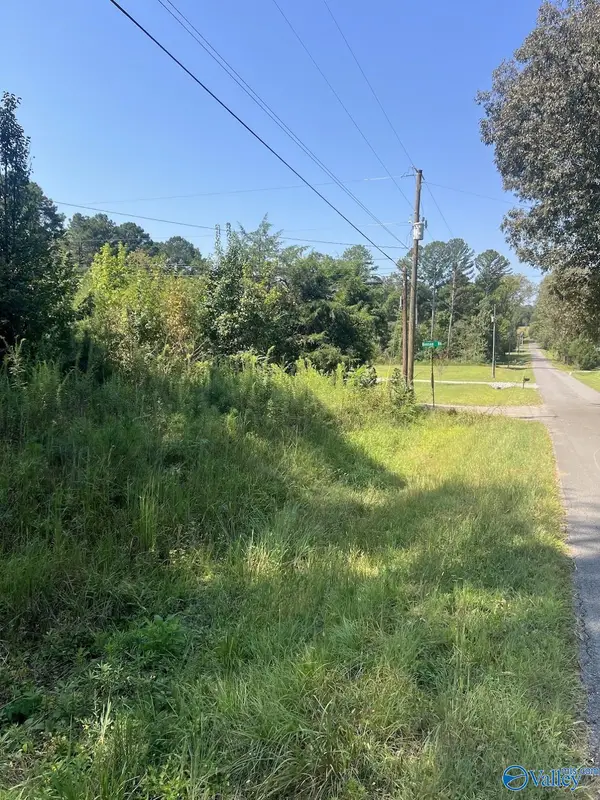 297 Benson Road, Somerville, AL 35670