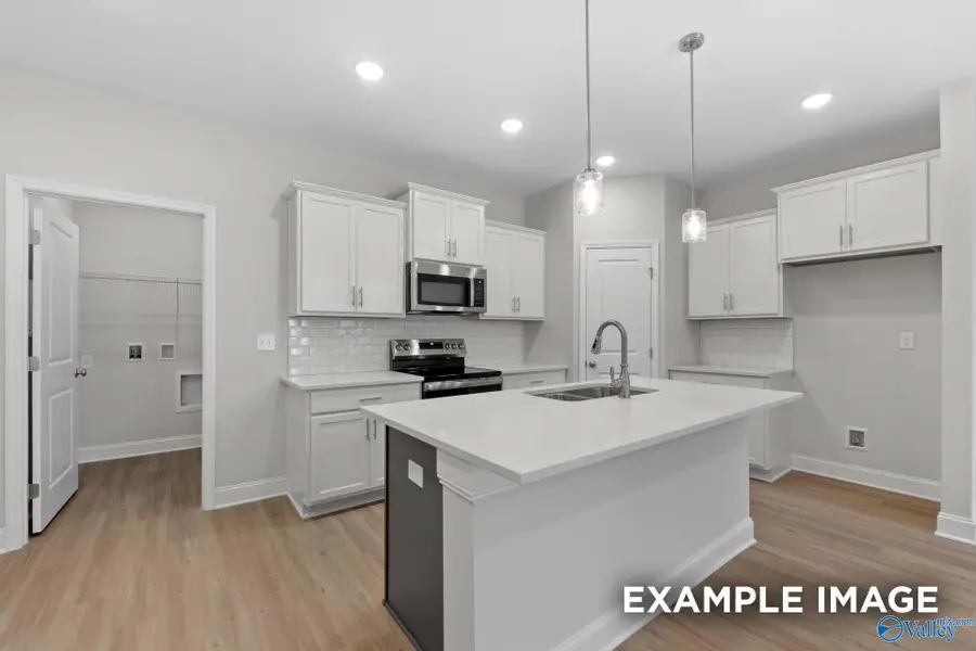 431 Lando Cain Road Se, Hartselle, AL 35640 - Image #3