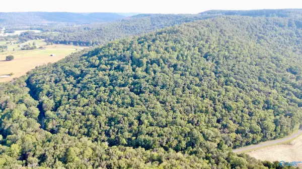 80ac Johnson Hollow Road, Grant, AL 35747