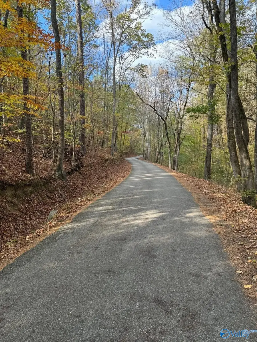 Lot 1,2 Allison Lane, Piedmont, AL 36272 - Image #2