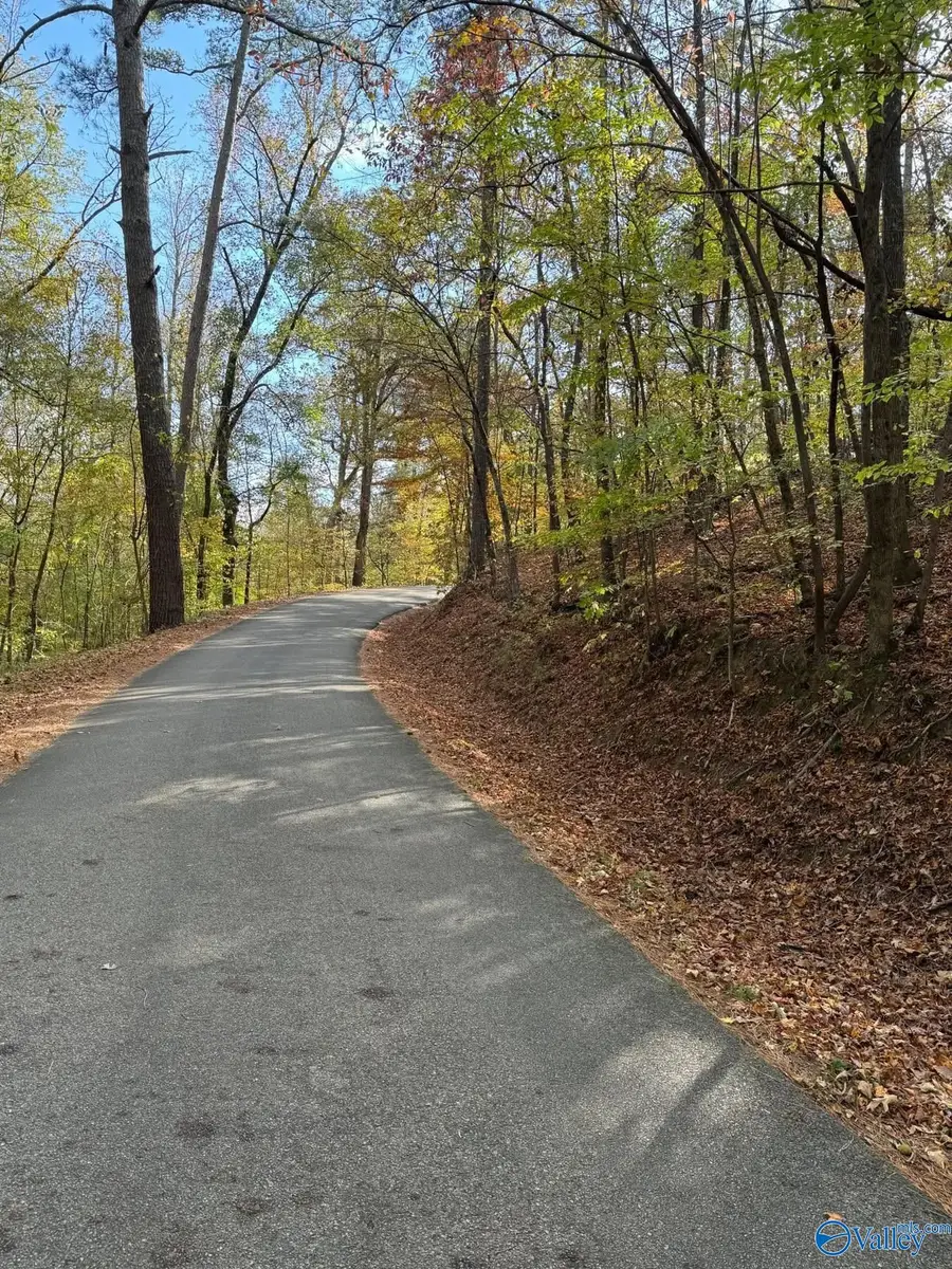 Lot 1,2 Allison Lane, Piedmont, AL 36272 - Image #3