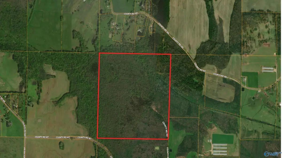 160 acres County Road 167, Moulton, AL 35650 - Image #1