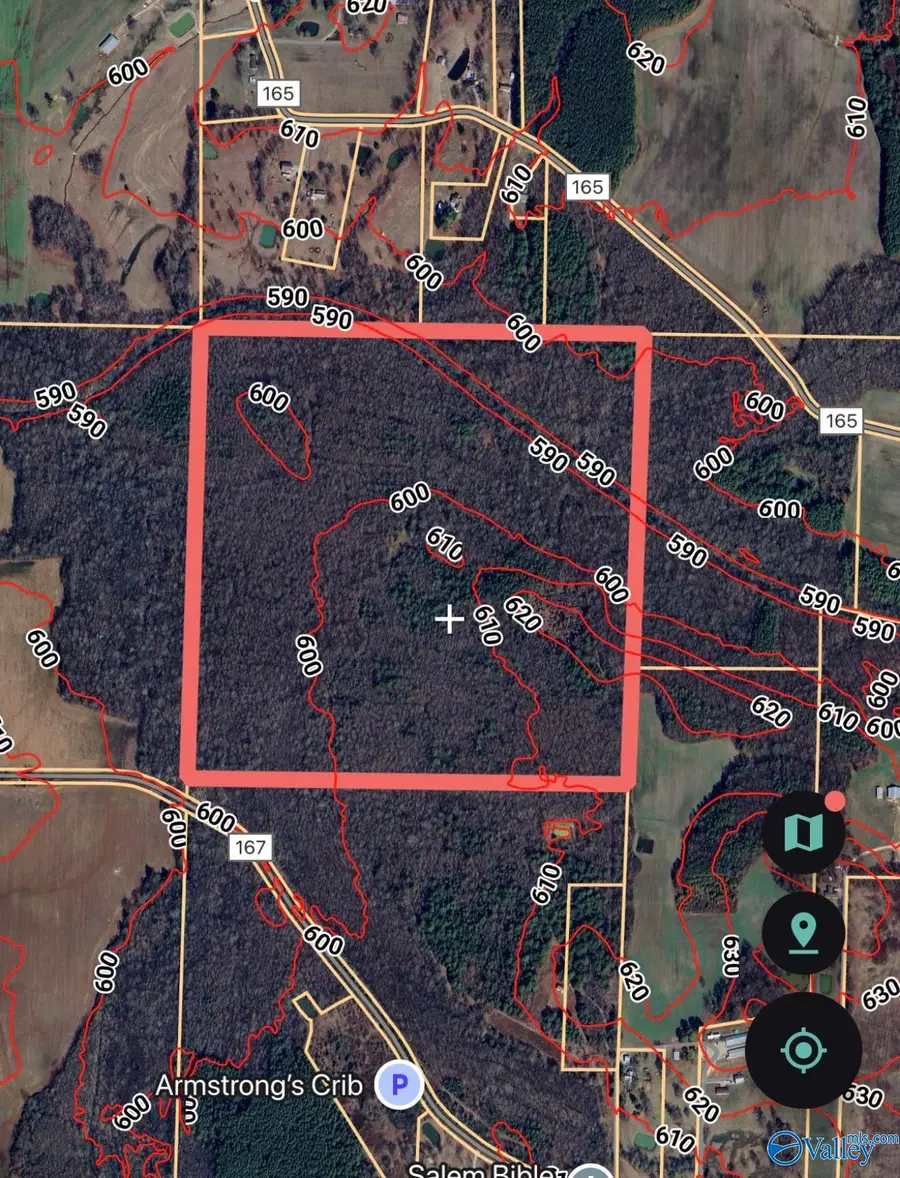 160 acres County Road 167, Moulton, AL 35650 - Image #2