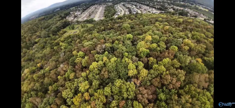 381 Caldwell Lane, Owens Cross Roads, AL 35763 - Image #2