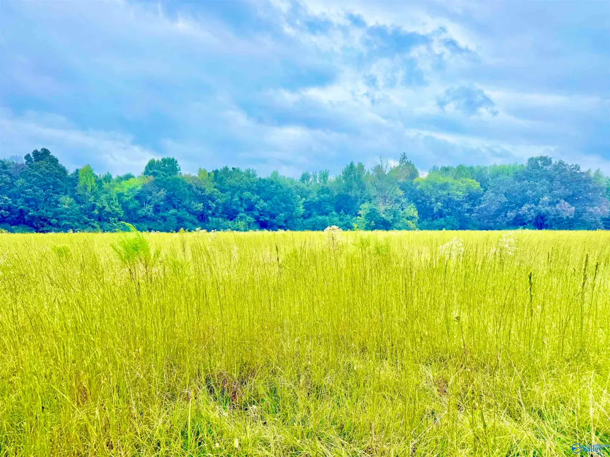 1376 Neel School Road, Danville, AL 35619 - Image #1