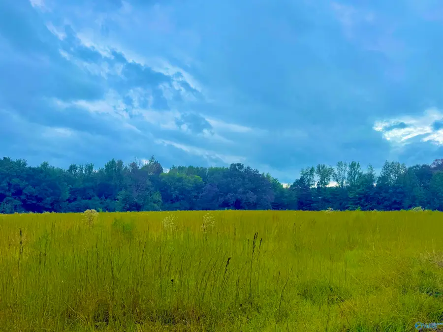 1376 Neel School Road, Danville, AL 35619 - Image #3