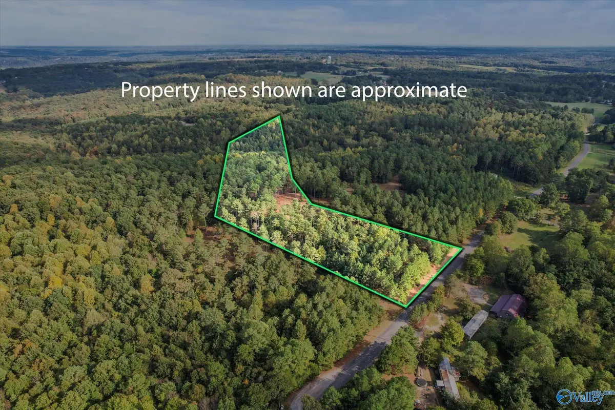 8 Acres Davis Gap Road, Vinemont, AL 35179 - Image #1