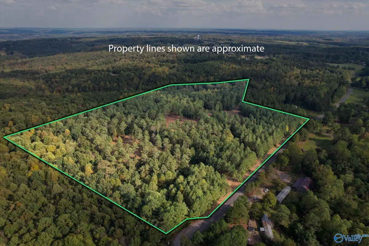 25.8 Acres Davis Gap Road, Vinemont, AL 35179 - Image #1