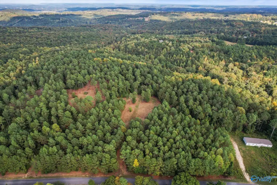 25.8 Acres Davis Gap Road, Vinemont, AL 35179 - Image #2