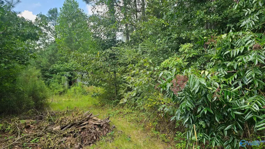 115 Christian Way, Attalla, AL 35954 - Image #2