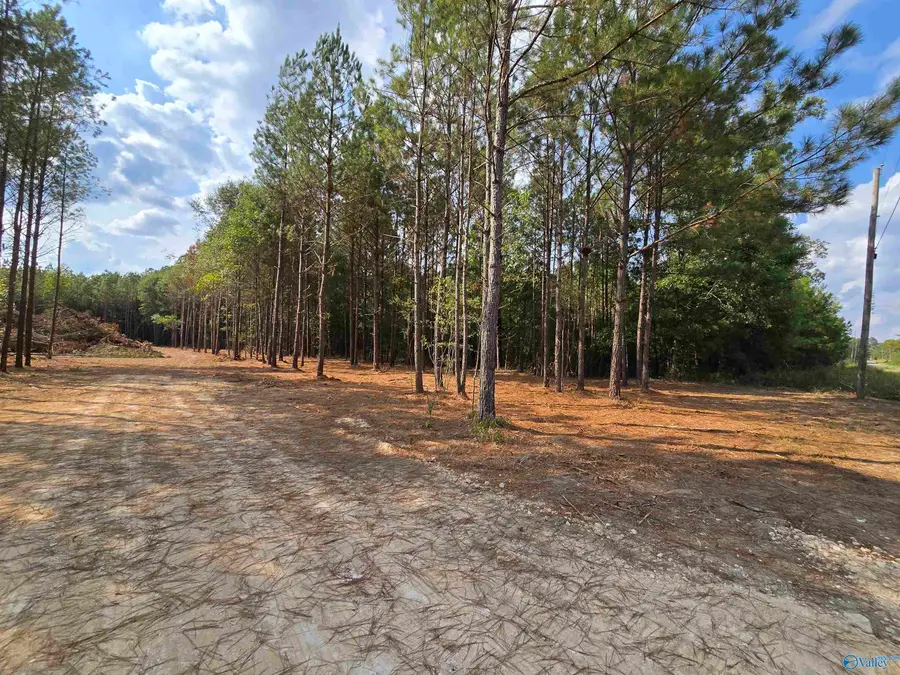 5.88 Acres Covington Avenue Se, Attalla, AL 35954 - Image #3