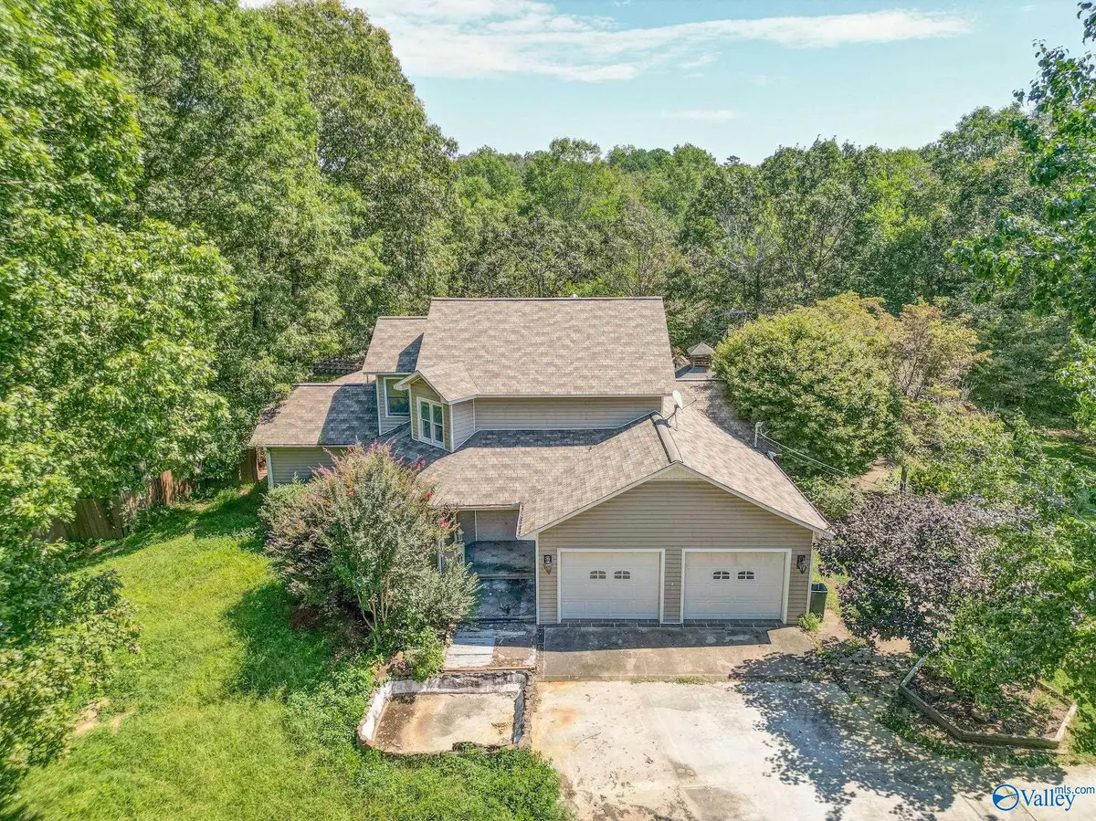 102 County Road 233, Rainsville, AL 35986 - Image #1