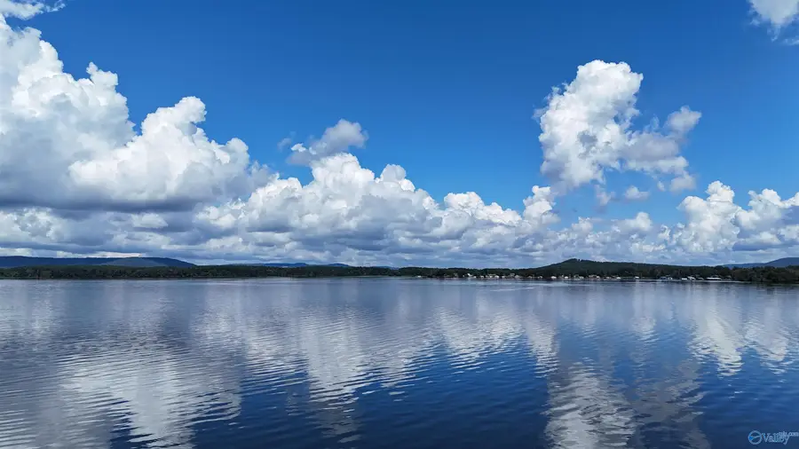 Tract 4 Pinewood Drive, Langston, AL 35755 - Image #2