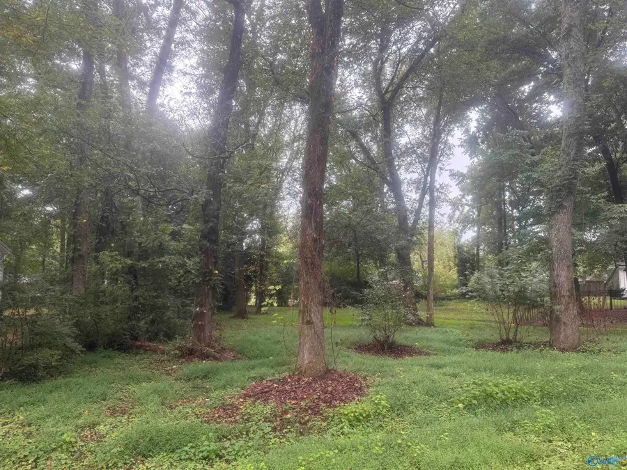 .31 10th Avenue, Arab, AL 35016 - Image #2