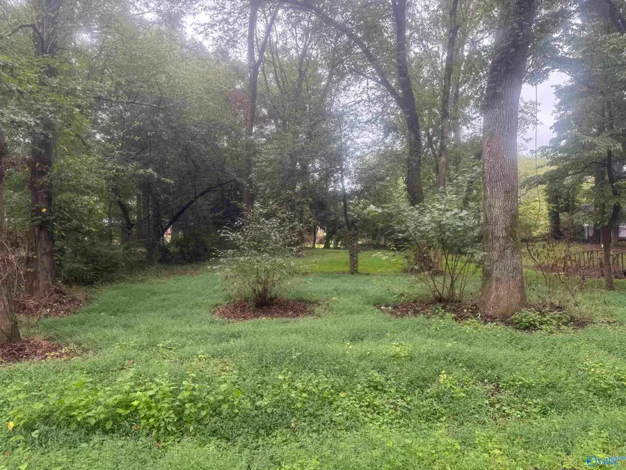 .31 10th Avenue, Arab, AL 35016 - Image #3