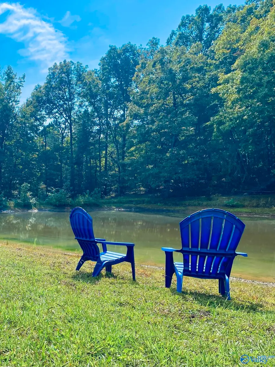 314 County Road 955, Valley Head, AL 35989 - Image #3