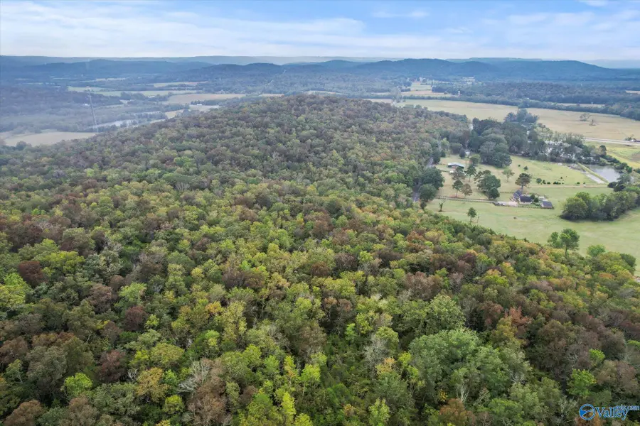 18 Acres Little Arkansas Road, Woodville, AL 35776 - Image #2