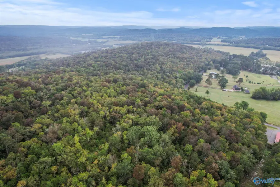18 Acres Little Arkansas Road, Woodville, AL 35776 - Image #3