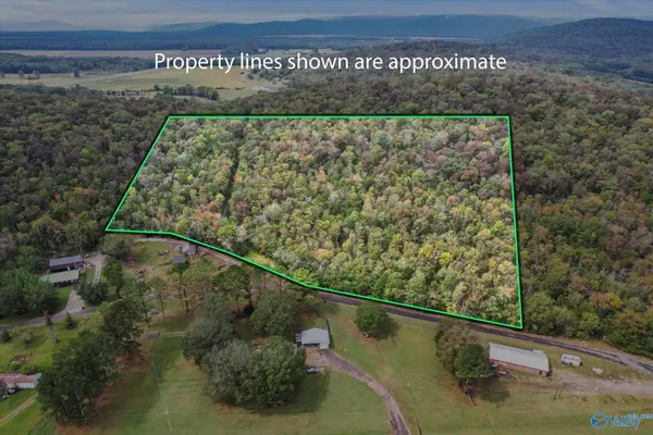 17 Acres Old Grant Road, Woodville, AL 35776