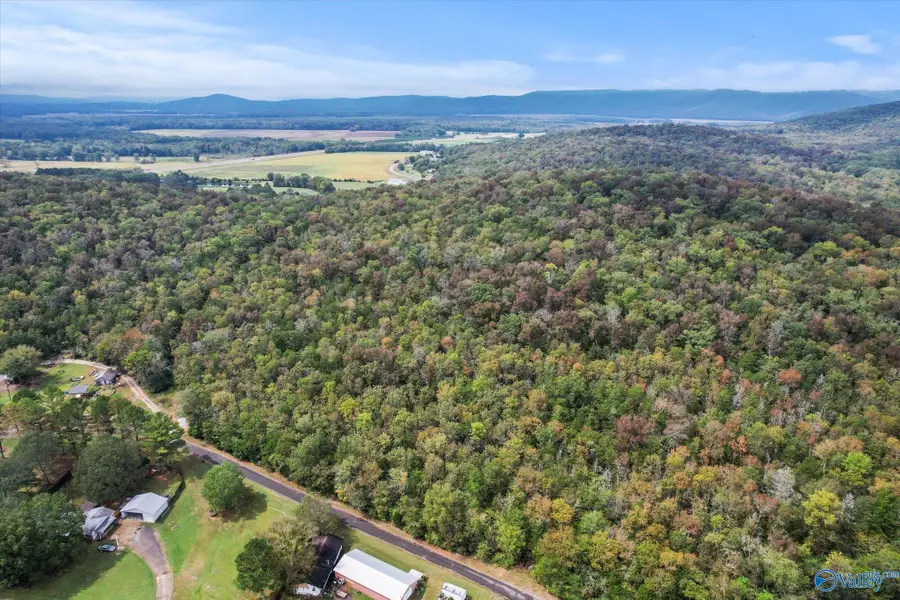 17 Acres Old Grant Road, Woodville, AL 35776 - Image #2