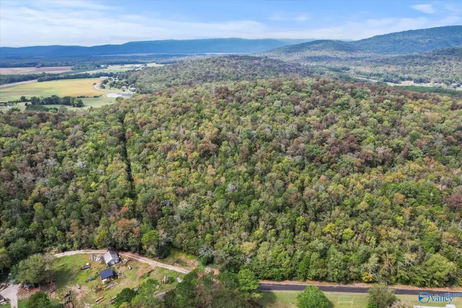 17 Acres Old Grant Road, Woodville, AL 35776 - Image #3