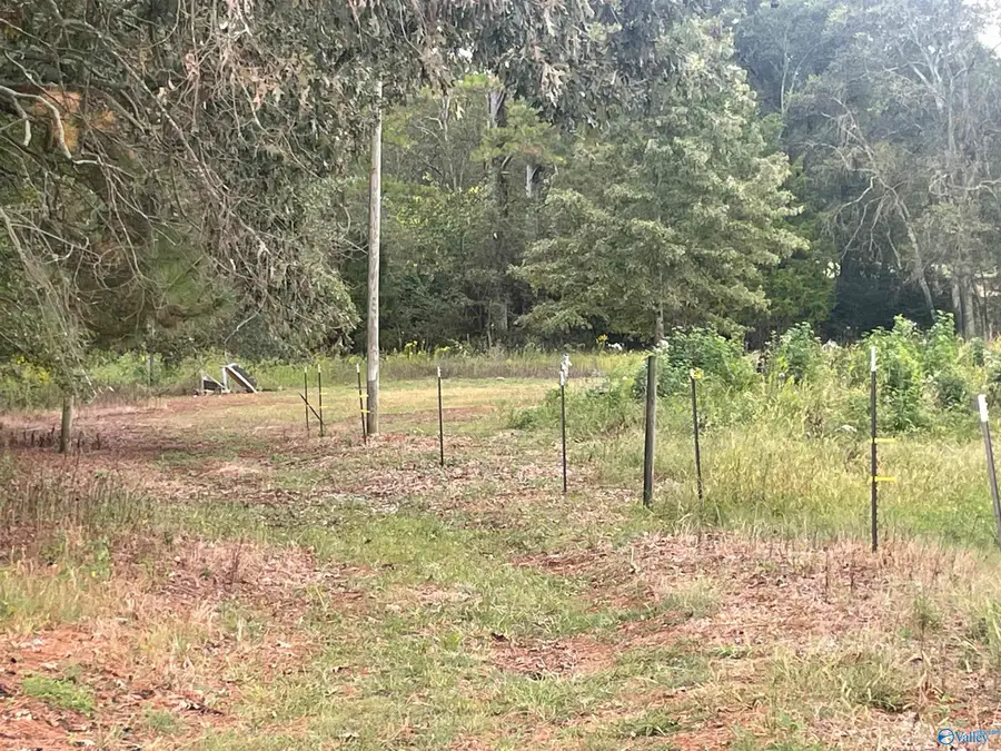 228 County Road 160, Moulton, AL 35650 - Image #2