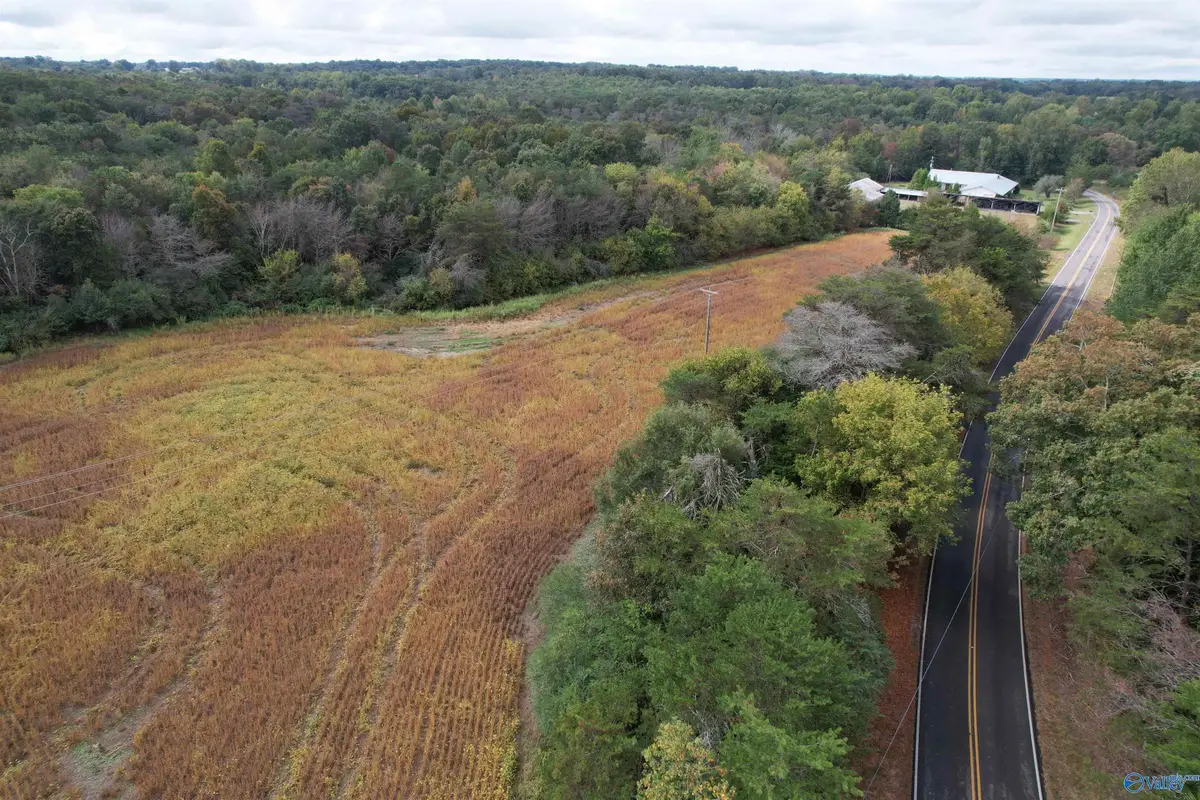 4.63 AC County Road 155, Flat Rock, AL 35966 - Image #1