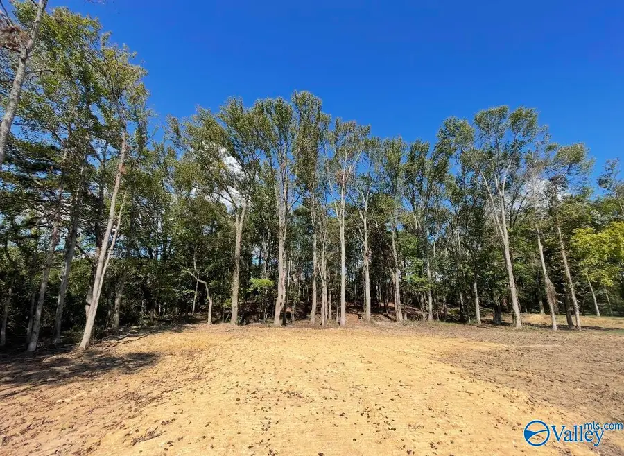 2 Acres Mount Carmel Drive, Guntersville, AL 35976 - Image #3