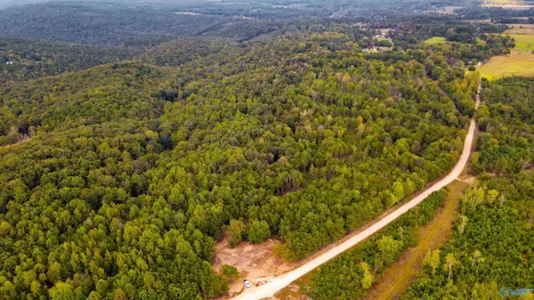 Lot 1 County Road 79, Fort Payne, AL 35967