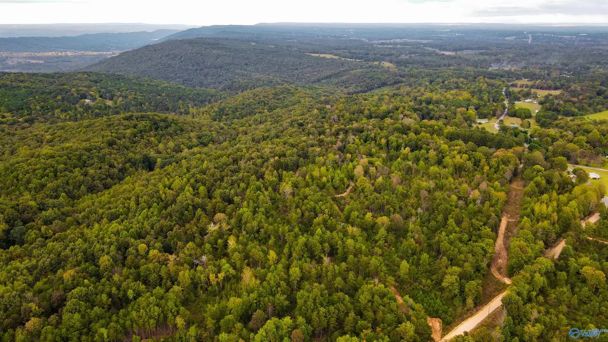 Lot 2 County Road 79, Fort Payne, AL 35967 - Image #1