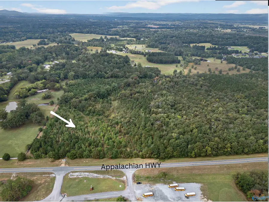 23 acres Appalachian Highway, Hokes Bluff, AL 35903 - Image #3